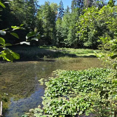 Schafisheim, Kanton Aargau