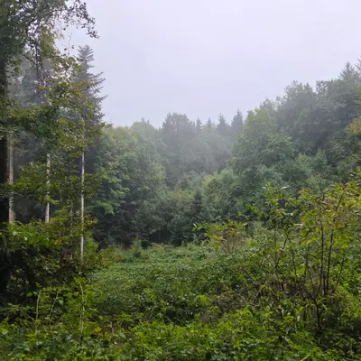 Holziken, Kanton Aargau