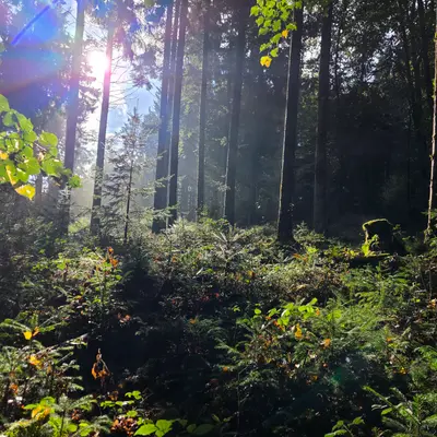 Holziken, Kanton Aargau