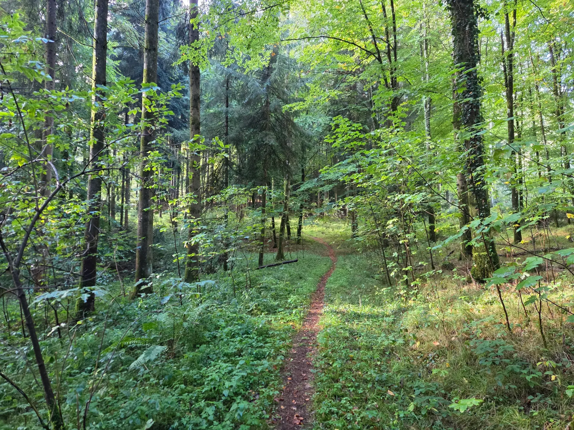 Holziken, Kanton Aargau
