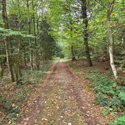 Hirschthal AG, Kanton Aargau