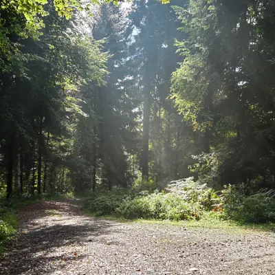 Schöftland, Kanton Aargau
