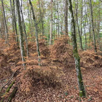 Hirschthal AG, Kanton Aargau
